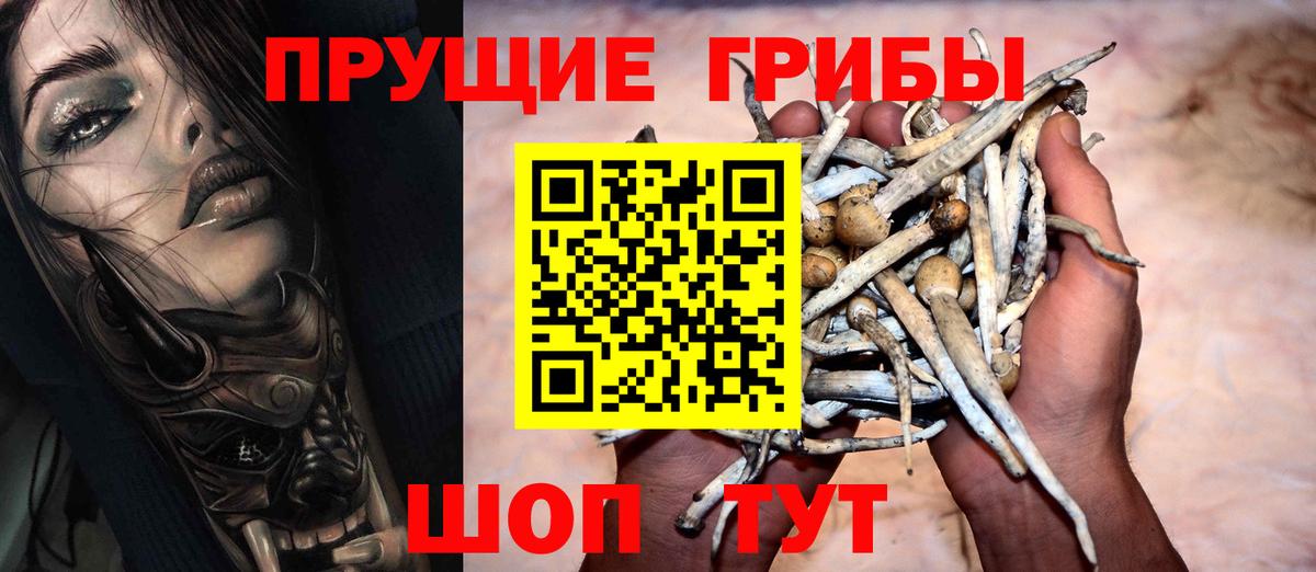 Павлово  Псилоцибиновые грибы Psilocybine cubensis  Вход с VPN 